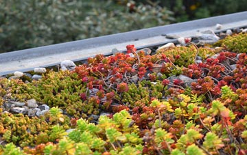 the cost of Pathhead green roof installation